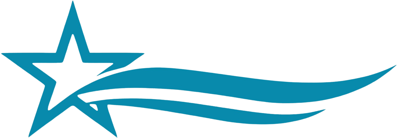 Darıca Yıldız Spor Kulübü Logo